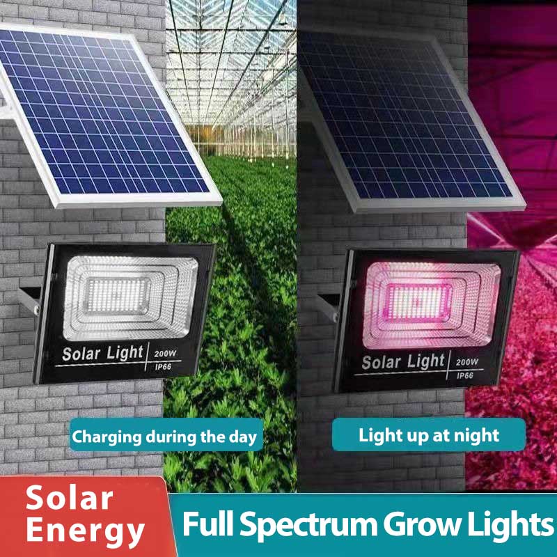Renewable Energy Project - Luces LED de cultivo de plantas