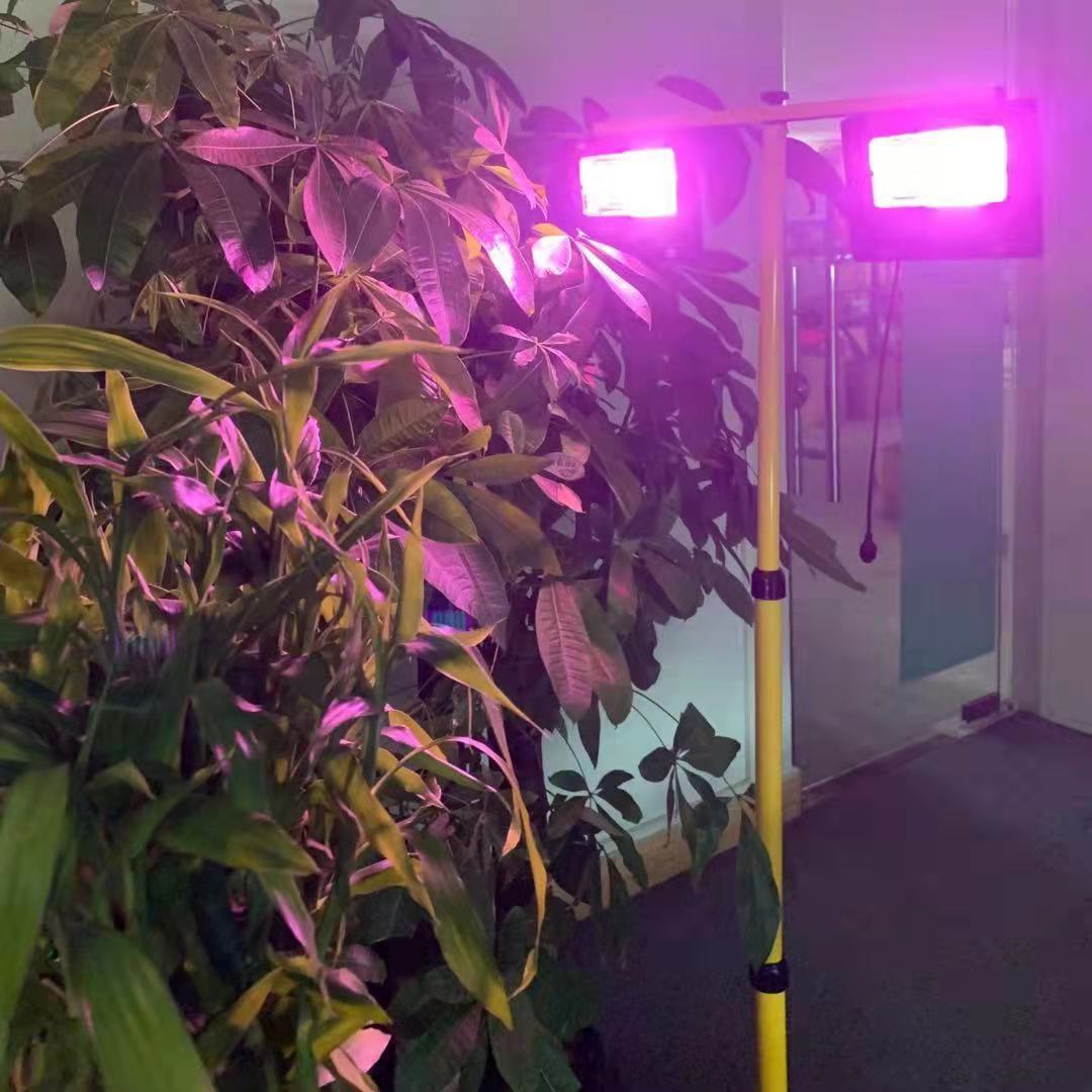 Luz LED de cultivo Solar de 35 - Renewable Energy Project reseña y precio